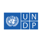 UNDP new